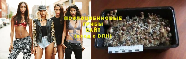 apvp Лабытнанги