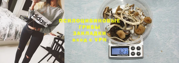 кристаллы Бородино