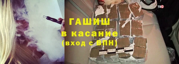 винт Лагань