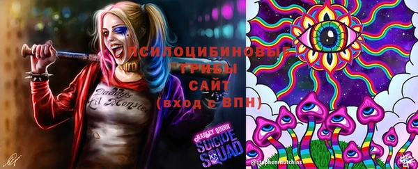 apvp Лабытнанги