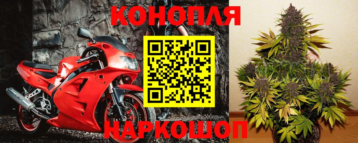 Шишки марихуана Amnesia Маркс
